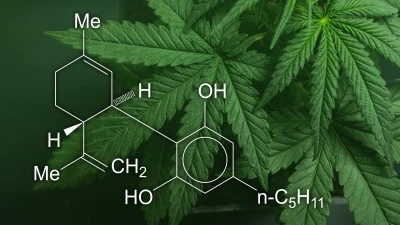Impacto de la venta de cannabis en salud pública Medidas