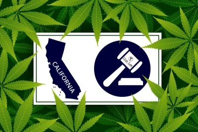 Impacto de regulaciones en estancos y venta de cannabis