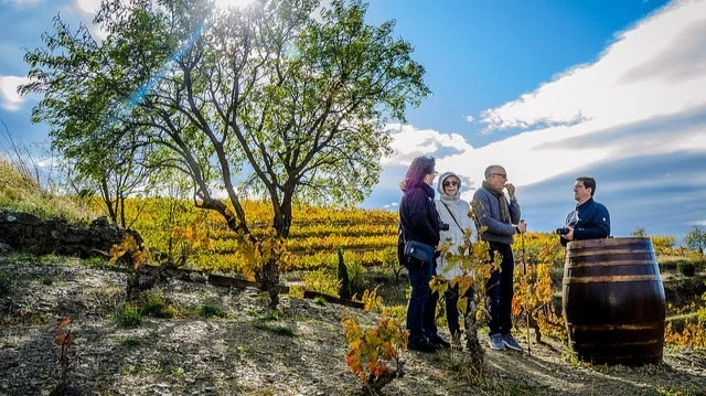Celler Devinssi