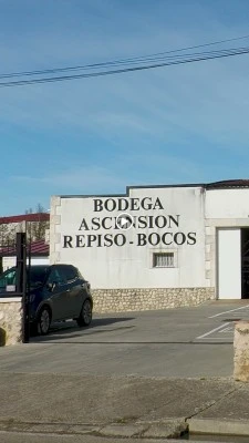 Bodega Ascensión Repiso Bocos