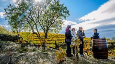 Celler Devinssi