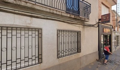 Olivo Trece