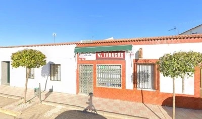 Tabacos