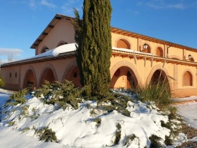 Vince John SL (Bodega y Viñedos Vicente San Juan)