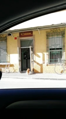 Estanco Rincón de Seca