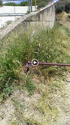 Agrocentro La Peza