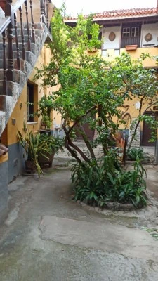 Bazar Coro