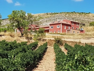 Señorío de Bocos S.A. (Bodega en Bocos de Duero)