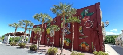 Palmera
