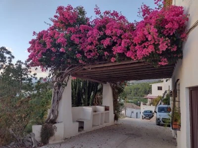 Estanco Altea La Vella