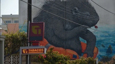 Estanc Nº 4 Can Picafort