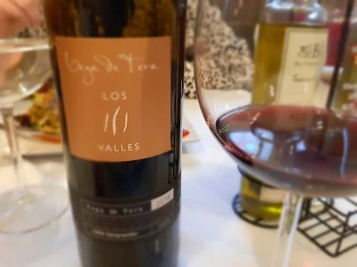 Bodegas Vega de Tera