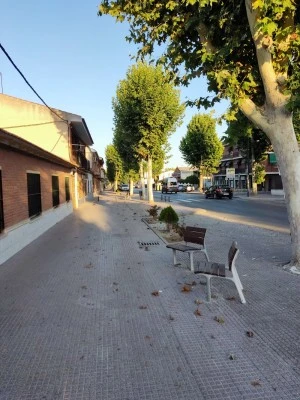 Tabacos