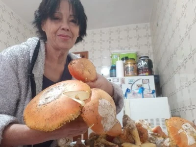 Expendeduría Número 3