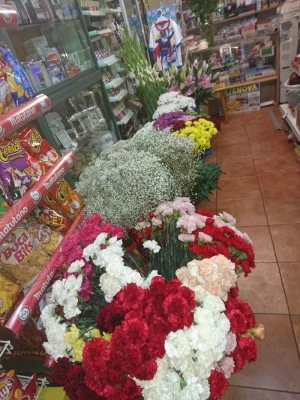 Estanco Belen