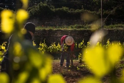 L'Olivera Cooperativa