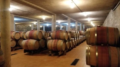 Bodega Venta D'Aubert