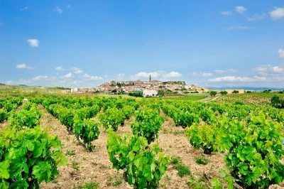 Bodegas Betolaza